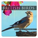 BRITISH BIRDS By:Global Journey Eur:2,44 Ден1:199