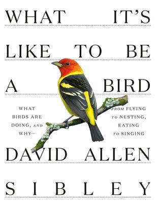 What It's Like to be a Bird By:Sibley, David Allen Eur:35.76 Ден1:1999
