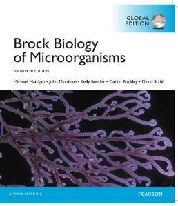 Brock Biology of Microorganisms By:David P. Clark, David A. Stahl, Michael T. Madigan Eur:48.76  Ден3:2999
