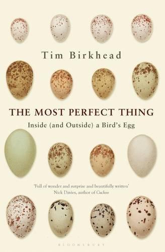 The Most Perfect Thing : Inside (and Outside) a Bird's Egg By:Birkhead, Tim Eur:35.76 Ден1:1399