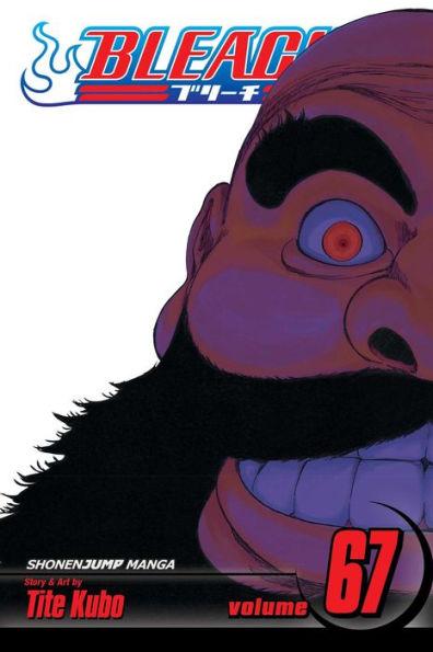 Bleach By:Kubo, Tite Eur:9,74 Ден2:599
