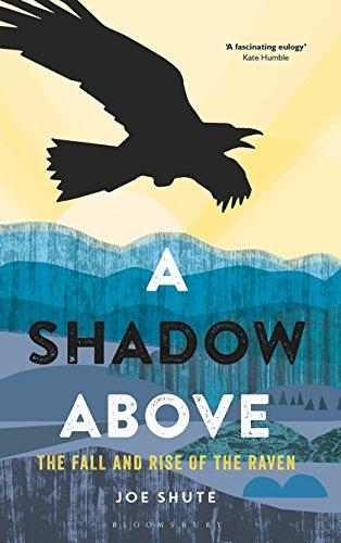 A Shadow Above : The Fall and Rise of the Raven By:Shute, Joe Eur:19,50  Ден3:1199
