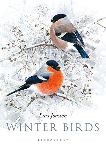 Winter Birds By:Jonsson, Lars Eur:17.87 Ден1:2199
