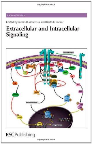Extracellular and Intracellular Signaling By:Thurston, David E. Eur:165,84  Ден3:10199