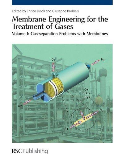 Membrane Engineering for the Treatment of Gases : Two Volume Set By:Peter, Laurie Eur:221.12 Ден1:18899