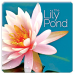 LILY POND By:Global Journey Eur:3,24 Ден1:199