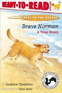 Brave Norman By:Clements, Andrew Eur:8,11 Ден2:300