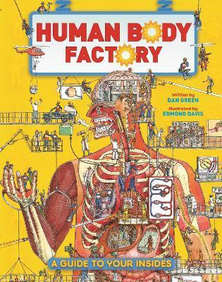 The Human Body Factory : A Guide To Your Insides By:Green, Dan Eur:12,99 Ден2:699