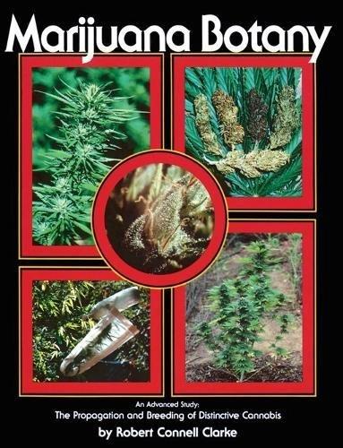 Marijuana Botany : An Advanced Study: The Propagation and Breeding of Distinctive Cannabis By:Clarke, Robert Connell Eur:17,87 Ден2:1299