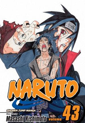Naruto, Vol. 43 By:Kishimoto, Masashi Eur:11.37 Ден2:599