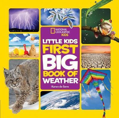 Little Kids First Big Book of Weather By:Seve, Karen de Eur:11,37 Ден2:899