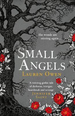 Small Angels : 'A twisting gothic tale of darkness, intrigue, heartbreak and revenge' Jennifer Saint By:Owen, Lauren Eur:11.37 Ден2:1099