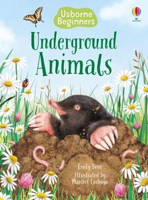 Underground Animals By:Bone, Emily Eur:12,99 Ден1:399
