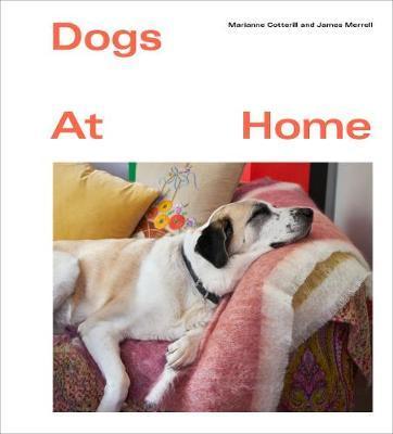 Dogs at Home By:Cotterill, Marianne Eur:14,62 Ден2:1199