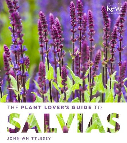 Plant Lover's Guide to Salvias By:Whittlesey, John Eur:14,62 Ден2:1399