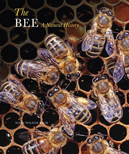The Bee : A Natural History By:Wilson-Rich, Noah Eur:24,37 Ден1:1199