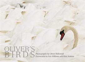 Oliver's Birds : By Oliver Hellowell By:Williams, Iolo Eur:22,75 Ден2:1299