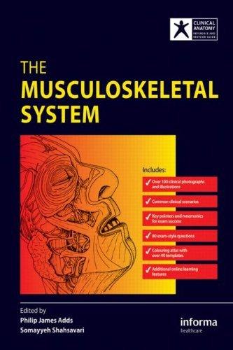 The Musculoskeletal System By:Adds, Philip James Eur:30,88 Ден2:3499