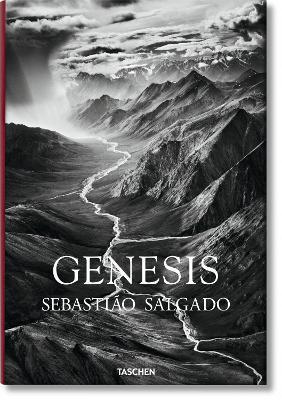 Genesis By:Salgado, Sebastiao Eur:50,39 Ден2:3799