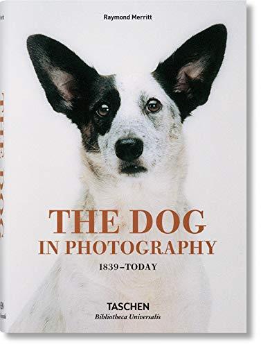 The Dog in Photography 1839-Today By:Merritt, Raymond Eur:35,76 Ден2:1099