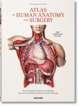 Bourgery. Atlas of Human Anatomy and Surgery By:Minor, Jean-Marie Le Eur:14,62 Ден2:3699