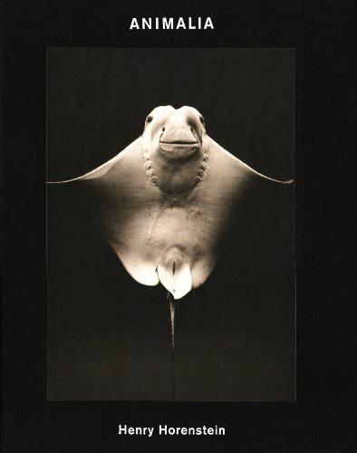 Henry Horenstein Animalia /anglais By:Horenstein, Henry Eur:21,12 Ден2:3799